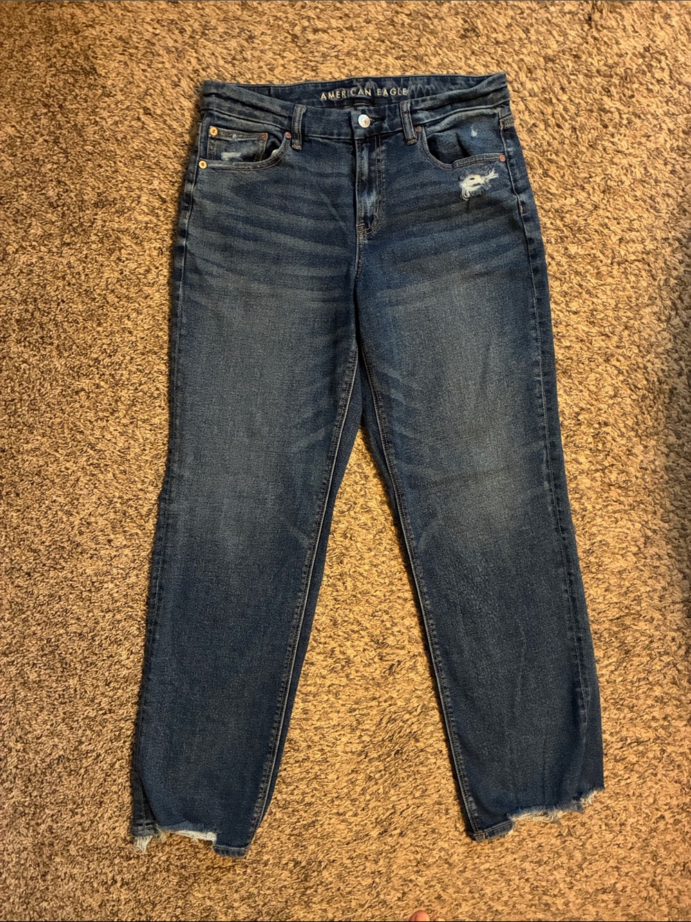 American Eagle curvy straight jean - size 10 long